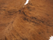 Ковер шкура коровы с белым животом и холкой арт.: 29261 - T652d08d7c92b9954274445