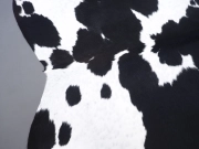 Шкура коровы черно-белая натуральная арт.: 30400 - T65eaf722ec92a499497037