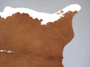 Натуральная шкура коровы коричнево-белая Герефорд арт.: 31346 - T69846e5f49c1b687777701