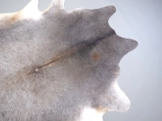 Шкура коровы маленького размера серая арт.: 31318 - T6968f1afacfa0120389957