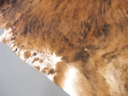 Коровья шкура натуральная тигровая арт.: 30444 - T66153b988fa01493289851