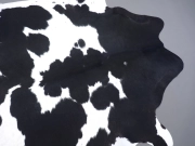 Шкура коровы черно-белая натуральная арт.: 30400 - T65eaf722474e7538503911