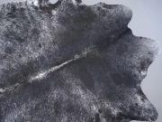 Шкура коровы натуральная соль и перец арт.: 31355 - T698da12603886137186839