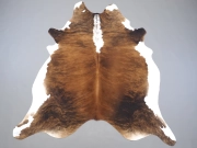 Шкура коровы натуральная тигровая арт.: 31326 - T69737971bdd92632410937