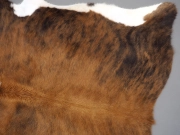 Шкура коровья тигровая натуральная арт.: 30346 - T6597f8ea8cdd8535850544