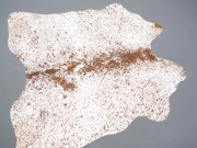 Шкура коровы натуральная соль и перец арт.: 31303 - T691dc0f7870b1584095313