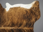 Коровья шкура натуральная с белым животом и холкой арт.: 26308 - T652d07ed7a589720274477