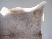 Шкура коровы маленького размера серая арт.: 31318 - T6968f1ace397d960462217