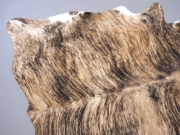 Коровья шкура натуральная тигровая арт.: 29350 - T652d39ef7f431812741561