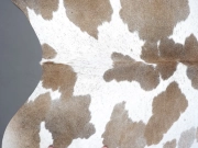 Натуральная шкура коровы серо-бежевая арт.: 31296 - T690db007342d3214031056