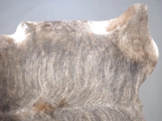 Шкура коровы натуральная экзотическая светлая арт.: 31385 - T69d3b1ba479c9188130877