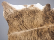 Коровья шкура натуральная тигровая с белым животом арт.: 29339 - T652d4b75dccbf870464843
