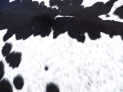 Коровья шкура натуральная черно-белая арт.: 29324 - T65043439f2058153796028