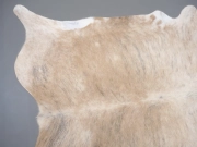 Шкура коровы натуральная экзотическая светлая арт.: 31386 - T69d3b0771dbc2639940928