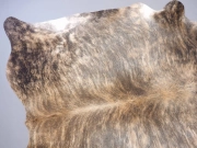 Шкура коровы натуральная пестрая тигровая арт.: 29444 - T652d0406030dd630912694