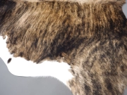 Коровья шкура натуральная тигровая арт.: 30447 - T661644bb7d051874165619