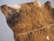 Шкура коровы натуральная тигровая арт.: 24616 - T652d0fb1ea9db912128189