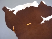 Натуральная шкура коровы коричнево-белая Герефорд арт.: 31342 - T698204839191f926514233