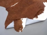 Натуральная шкура коровы коричнево-белая Герефорд арт.: 31347 - T698487d4422fe714075530