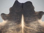 Шкура коровы натуральная тигровая арт.: 31374 - T69ce1783baa5f465526271