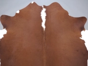 Натуральная шкура коровы коричнево-белая Герефорд арт.: 31345 - T698357bc4a50a659344890