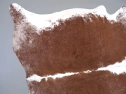 Натуральная шкура коровы коричнево-белая Герефорд арт.: 31338 - T698091c7e2d46267259269