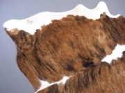 Шкура коровы натуральная на пол арт.: 29417 - T652cf54d2c44a441062813
