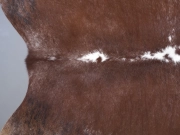 Шкура коровы натуральная тигровая арт.: 31328 - T6980796a03d4e177834279