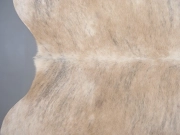 Шкура коровы натуральная экзотическая светлая арт.: 31386 - T69d3b079f2e49077285091