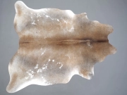 Натуральная шкура коровы серо-бежевая арт.: 31297 - T690df675c29aa965719041