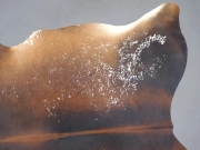 Натуральная шкура коровы черно-белая красноватая арт.: 31291 - T68f0ca77e5aef492836353