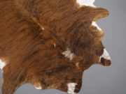Коровья шкура натуральная экзотическая тигровая арт.: 25311 - T652e428f5cf76745360277