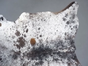 Шкура коровы натуральная соль и перец арт.: 31302 - T691dbfa92f412541934601