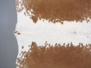 Натуральная шкура коровы коричнево-белая арт.: 31367 - T69aff565b4a47654354792