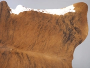 Шкура коровы ковер натуральная экзотическая арт.: 29201 - T652e325b78237805237971