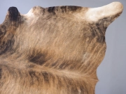 Шкура коровы натуральная пестрая тигровая арт.: 29443 - T652d02fcf2116999354096