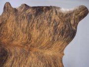 Коровья шкура натуральная пестрая тигровая арт.: 29504 - T652d059377688362458173