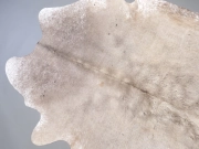 Натуральная коровья шкура альпийская арт.: 31330 - T69807f29cd744358453307