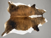 Шкура коровы натуральная тигровая арт.: 31326 - T697374312a241568034970.jpeg