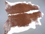 Натуральная шкура коровы коричнево-белая Герефорд арт.: 31338 - T698091ede31cf483137060