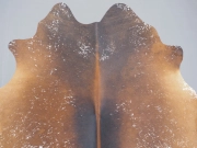 Натуральная шкура коровы черно-белая красноватая арт.: 31291 - T68f0ca7b2787a933545833