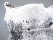 Шкура коровы натуральная соль и перец арт.: 31351 - T698b3ba46b6e1161837651