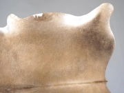 Натуральная шкура коровы серо-бежевая арт.: 31377 - T69cf7685200cc705981068