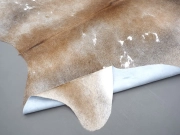 Натуральная шкура коровы серо-бежевая арт.: 31297 - T690df67d5bf50347054039