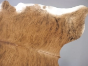 Шкура коровы натуральная тигровая арт.: 29369 - T652d3a6107ebb192626775