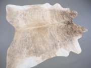 Шкура коровы натуральная экзотическая светлая арт.: 31387 - T69d3be8c7d0f4152946148