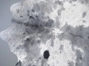 Шкура коровы натуральная соль и перец арт.: 31359 - T698f18fb7ce22060625704