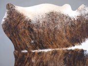 Шкура коровы натуральная тигровая арт.: 31337 - T69808f65caef3182323517