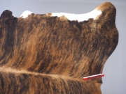 Шкура коровы натуральная тигровая с белым животом арт.: 29336 - T652d4aab7131b184980747