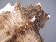 Шкура коровы натуральная тигровая арт.: 31263 - T68c2cdec87edd478904639